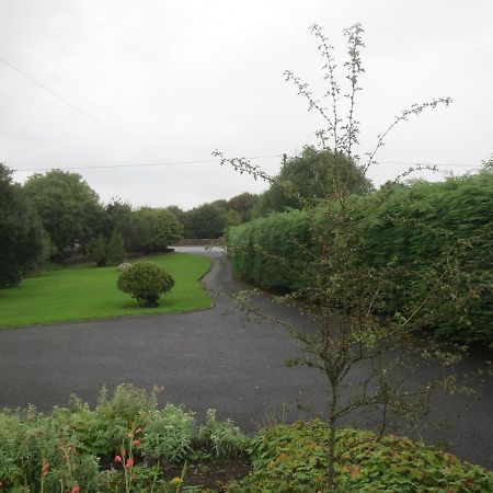 Abbey View Bed & Breakfast Galway Eksteriør bilde