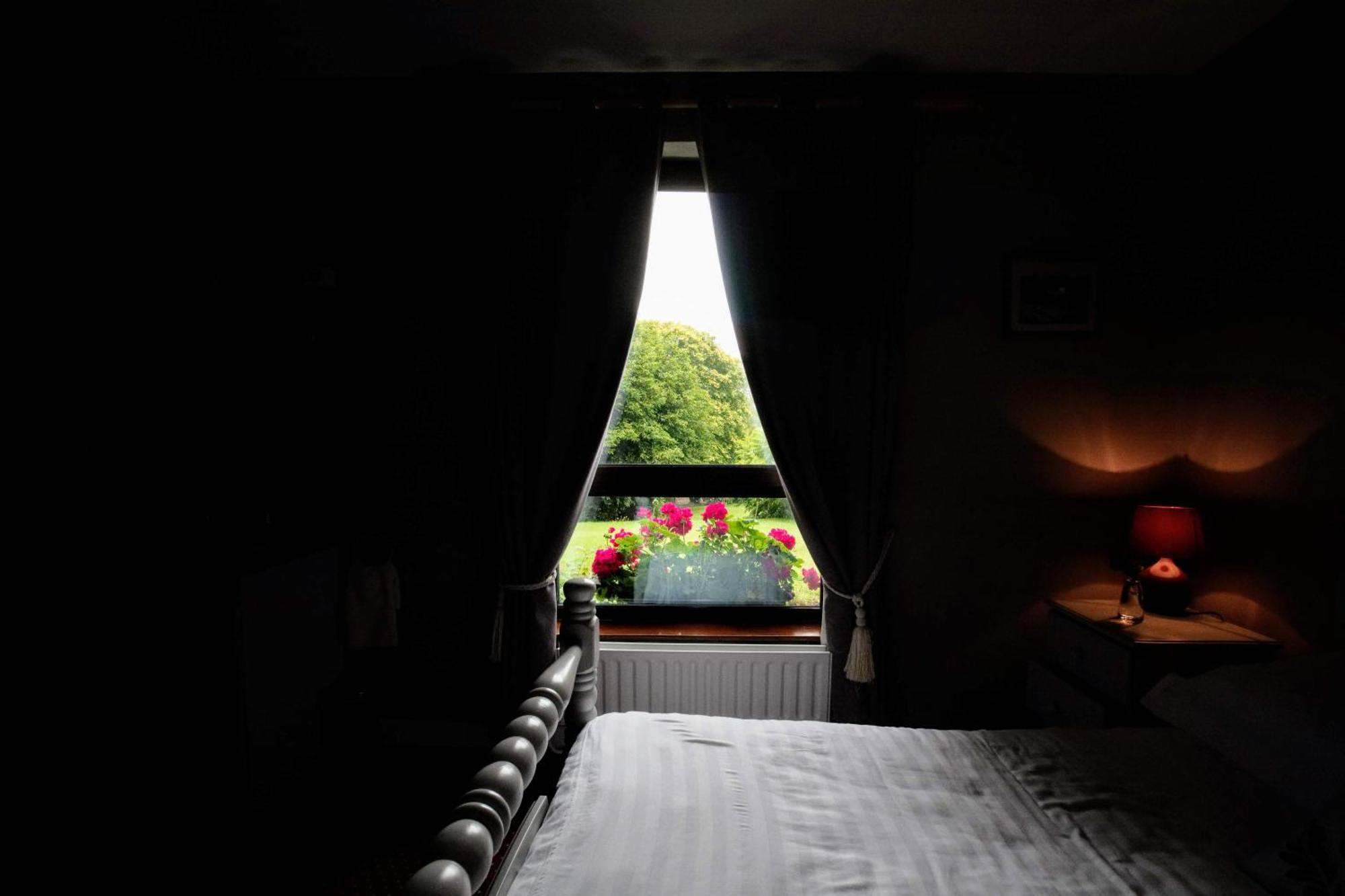 Abbey View Bed & Breakfast Galway Eksteriør bilde
