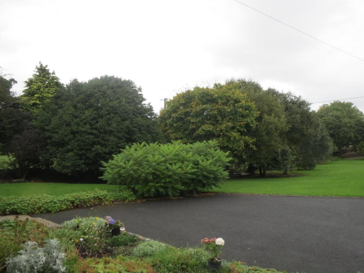 Abbey View Bed & Breakfast Galway Eksteriør bilde